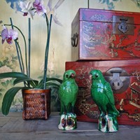 Портфолио Artasia