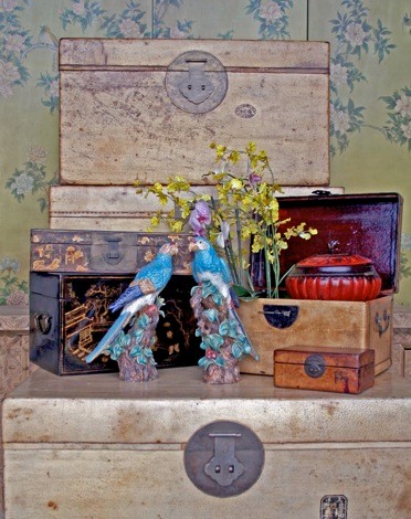 Artasia Portfolio : Artasia