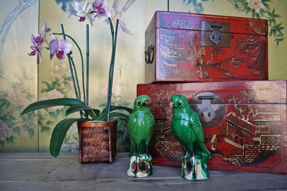 Artasia Portfolio : Artasia